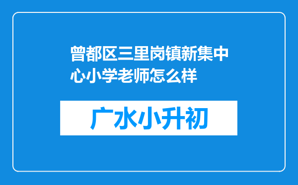 曾都区三里岗镇新集中心小学老师怎么样