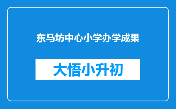 东马坊中心小学办学成果