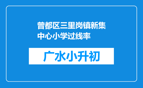 曾都区三里岗镇新集中心小学过线率
