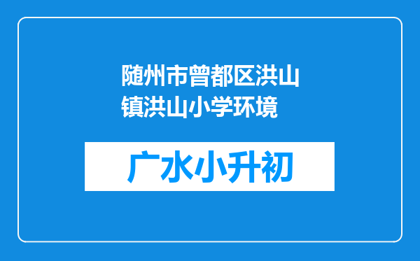 随州市曾都区洪山镇洪山小学环境