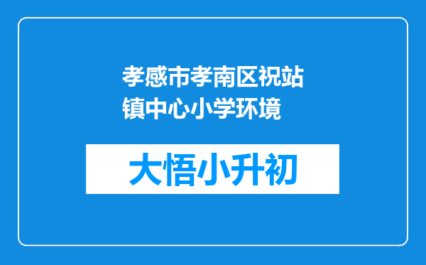 孝感市孝南区祝站镇中心小学环境