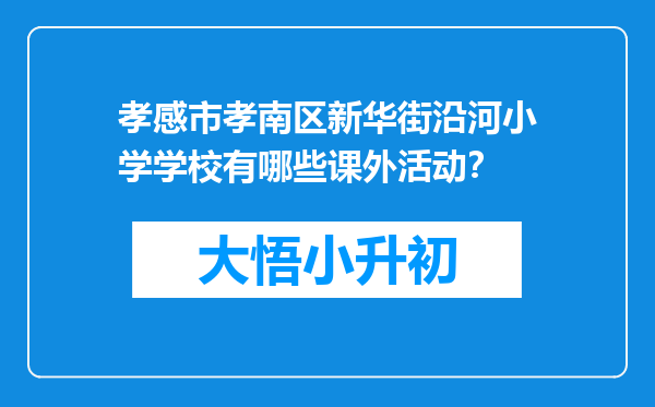 孝感市孝南区新华街沿河小学学校有哪些课外活动？