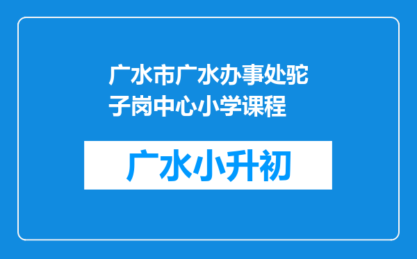 广水市广水办事处驼子岗中心小学课程