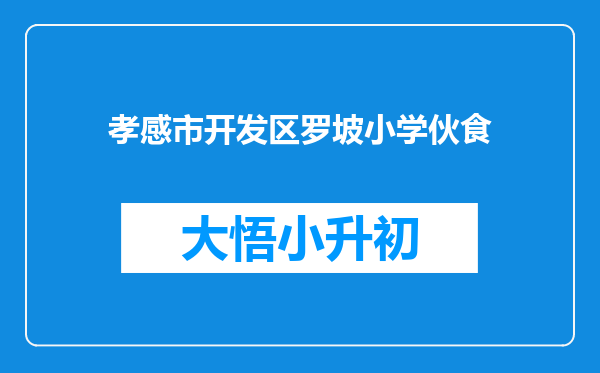 孝感市开发区罗坡小学伙食