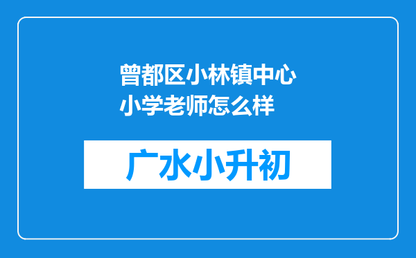 曾都区小林镇中心小学老师怎么样