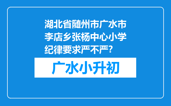 湖北省随州市广水市李店乡张杨中心小学纪律要求严不严？