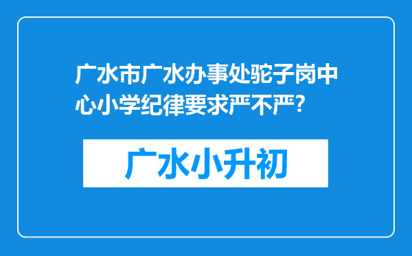 广水市广水办事处驼子岗中心小学纪律要求严不严？