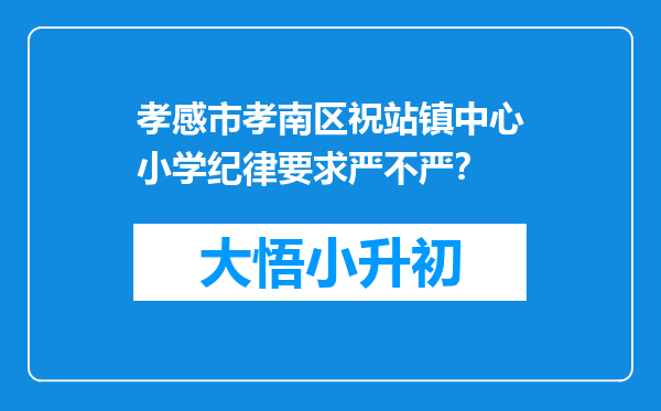 孝感市孝南区祝站镇中心小学纪律要求严不严？