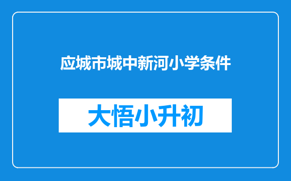 应城市城中新河小学条件