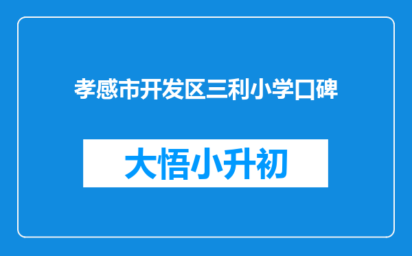 孝感市开发区三利小学口碑