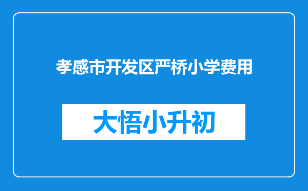 孝感市开发区严桥小学费用