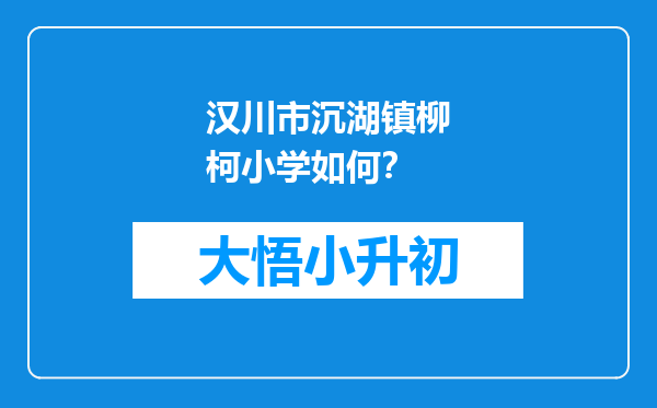 汉川市沉湖镇柳柯小学如何？
