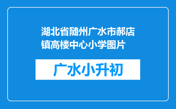 湖北省随州广水市郝店镇高楼中心小学图片
