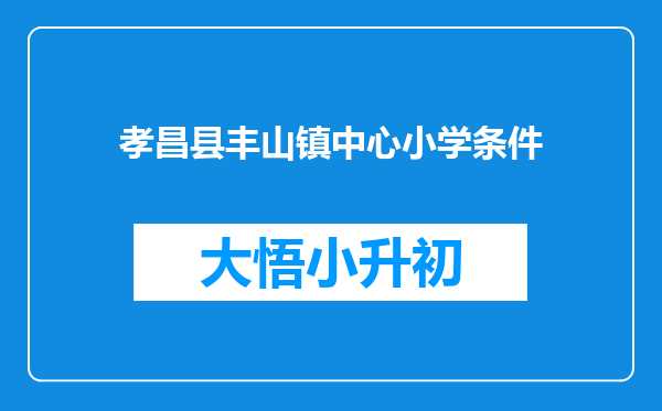 孝昌县丰山镇中心小学条件