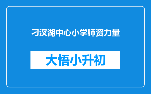 刁汊湖中心小学师资力量
