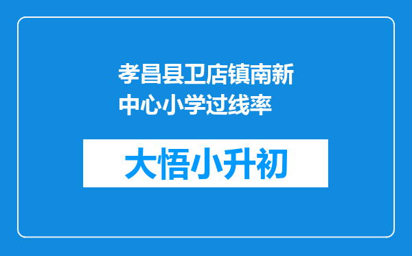 孝昌县卫店镇南新中心小学过线率