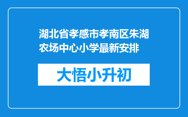湖北省孝感市孝南区朱湖农场中心小学最新安排