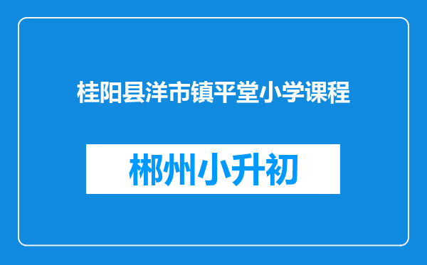 桂阳县洋市镇平堂小学课程