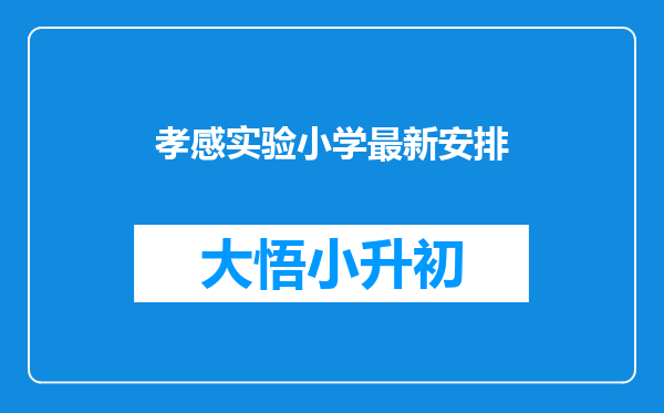 孝感实验小学最新安排