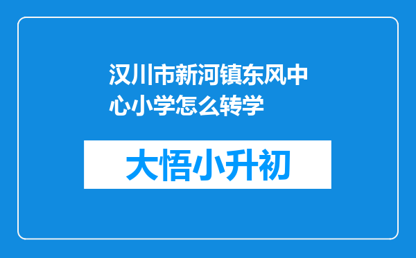 汉川市新河镇东风中心小学怎么转学