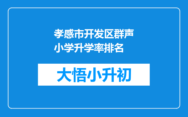 孝感市开发区群声小学升学率排名