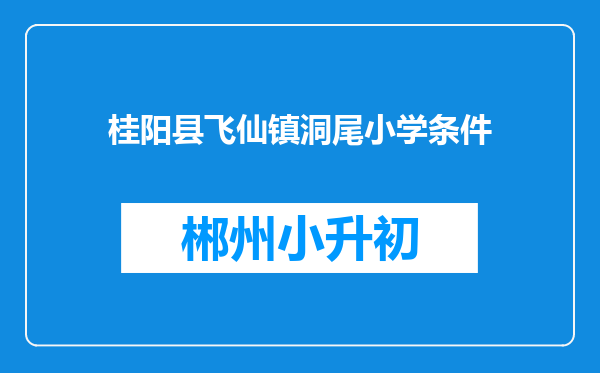 桂阳县飞仙镇洞尾小学条件