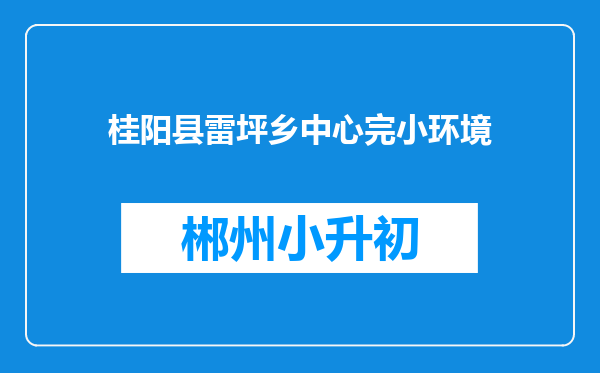 桂阳县雷坪乡中心完小环境