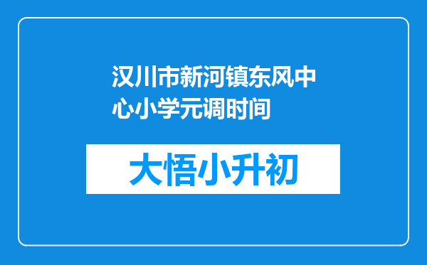 汉川市新河镇东风中心小学元调时间