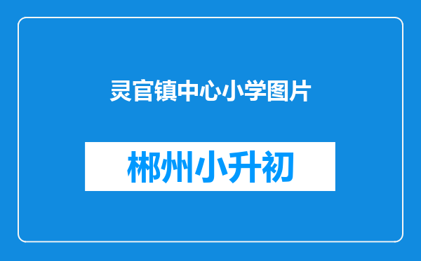 灵官镇中心小学图片