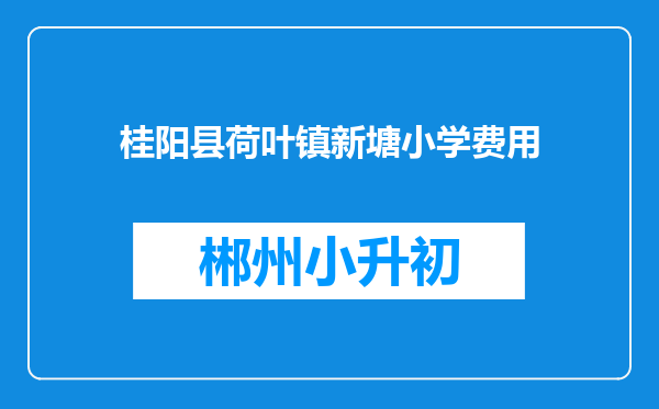 桂阳县荷叶镇新塘小学费用