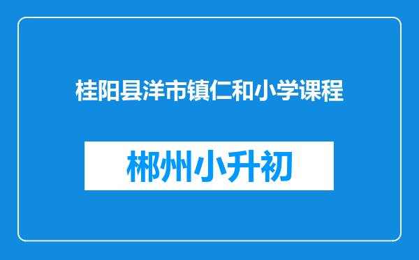 桂阳县洋市镇仁和小学课程