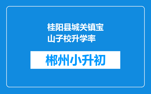 桂阳县城关镇宝山子校升学率