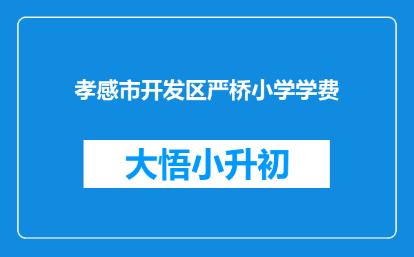 孝感市开发区严桥小学学费