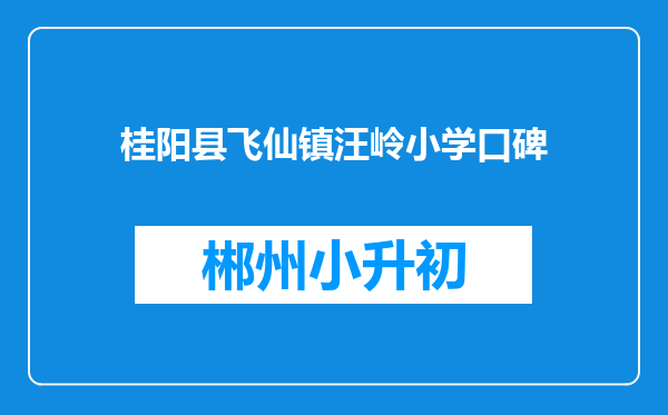 桂阳县飞仙镇汪岭小学口碑