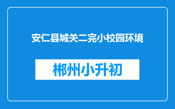 安仁县城关二完小校园环境