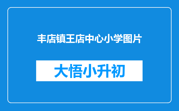 丰店镇王店中心小学图片
