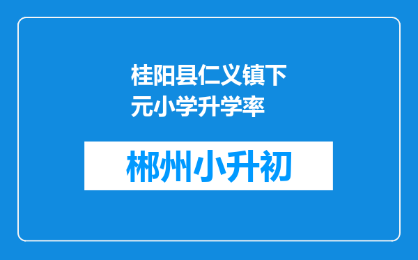 桂阳县仁义镇下元小学升学率