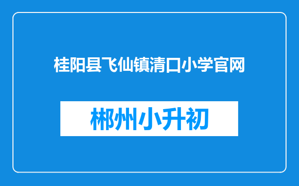 桂阳县飞仙镇清口小学官网