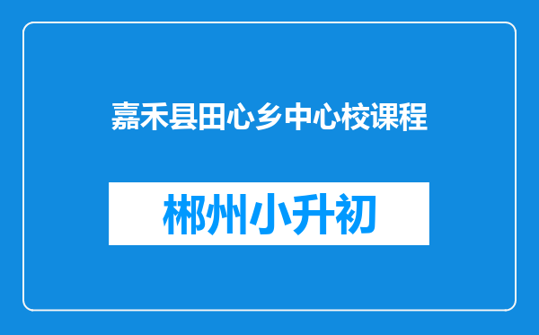 嘉禾县田心乡中心校课程