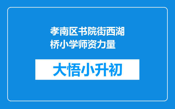 孝南区书院街西湖桥小学师资力量