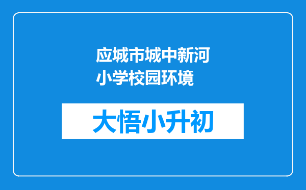 应城市城中新河小学校园环境