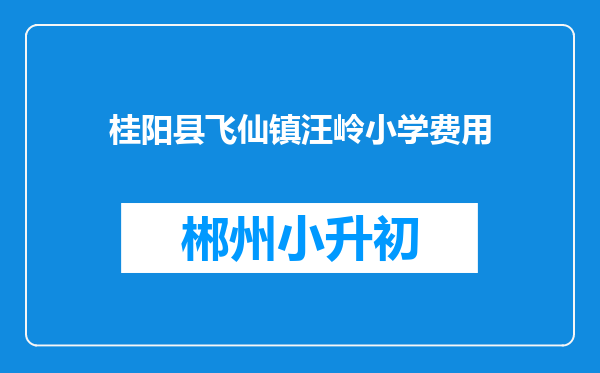 桂阳县飞仙镇汪岭小学费用