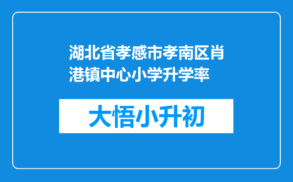 湖北省孝感市孝南区肖港镇中心小学升学率