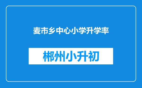 麦市乡中心小学升学率