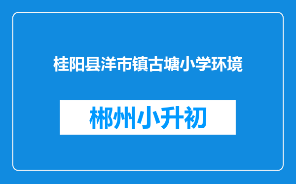 桂阳县洋市镇古塘小学环境