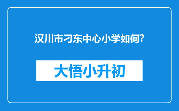 汉川市刁东中心小学如何？