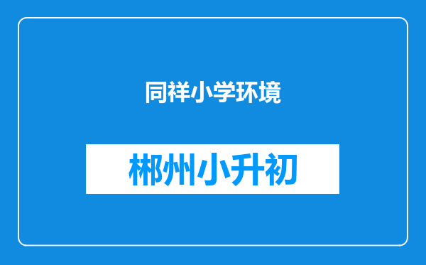 同祥小学环境