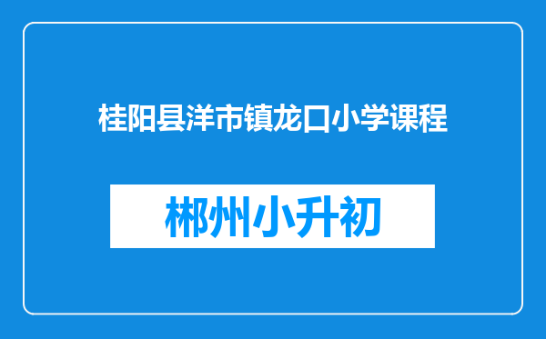 桂阳县洋市镇龙口小学课程