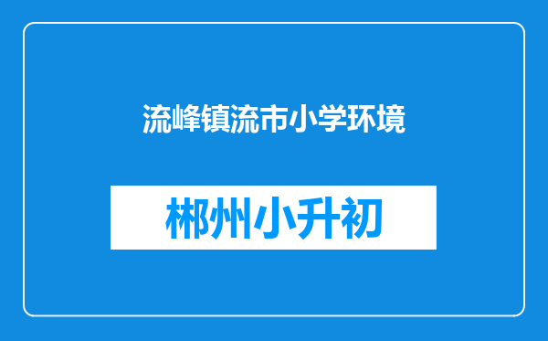 流峰镇流市小学环境