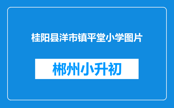 桂阳县洋市镇平堂小学图片